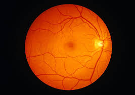 Retina Services